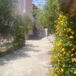 Elpida ترابيزاكي