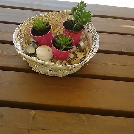 Apartment Elpida